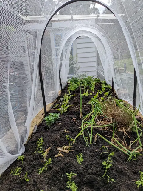 Small garden bed project image 10